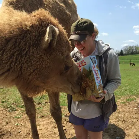 Alladin the camel at Full Moon Ranch in Berryville VA approves of our new game Camel Up!