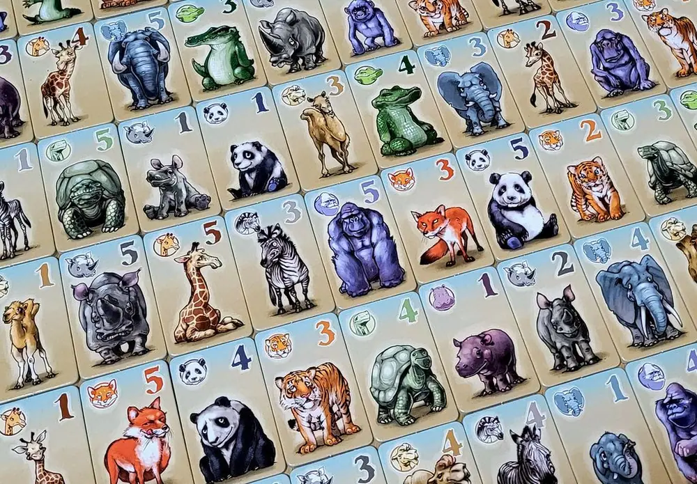 animal cards