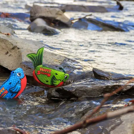 Swimming upstream