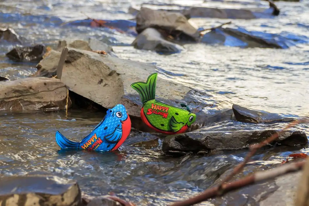 Swimming upstream