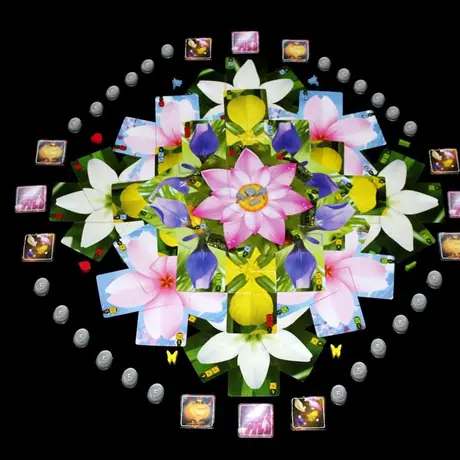 Lotus petal cards + components