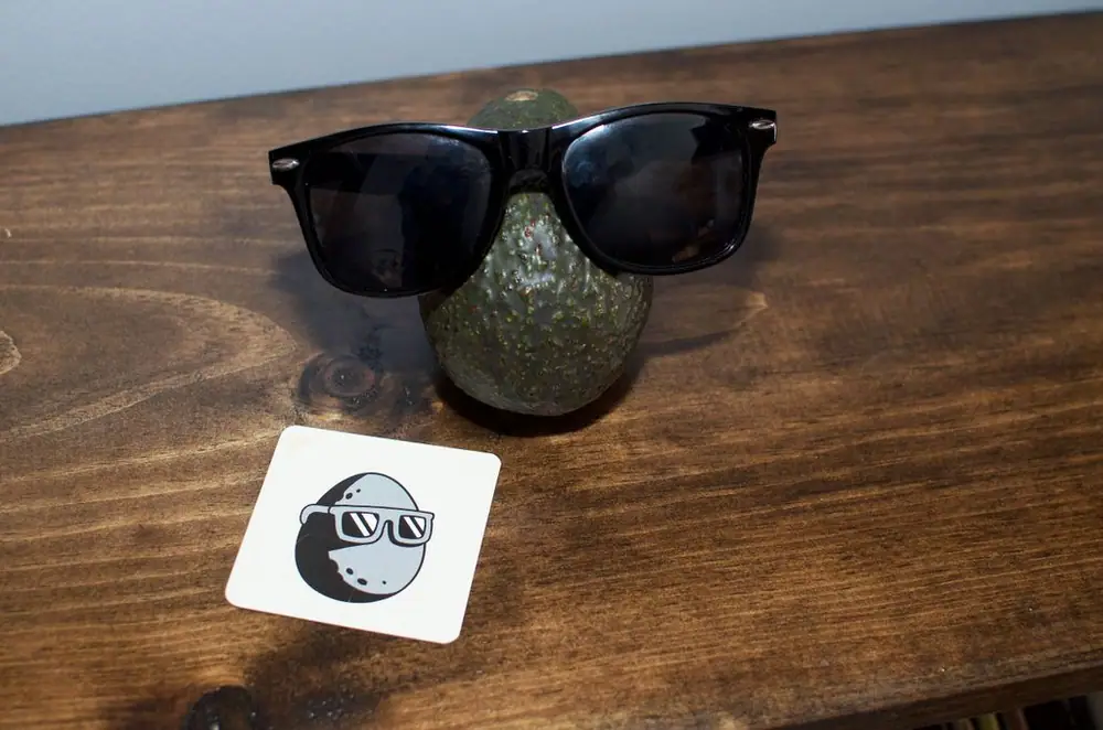 Is it an avocado?