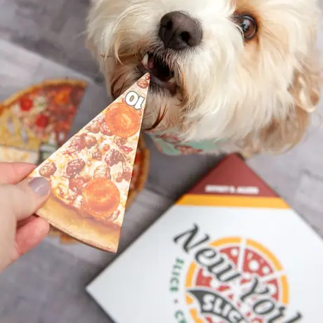 Happy National Pizza Day!