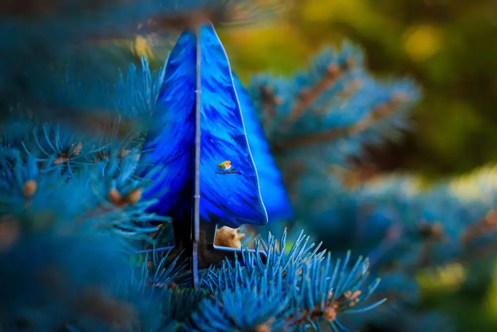 A pine on a pine