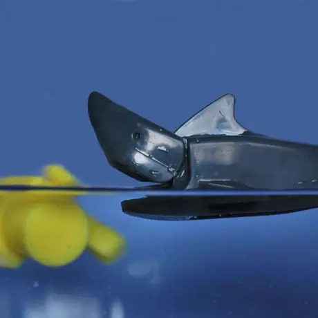 The shark closes on his victim. Yellow be about to get bit!