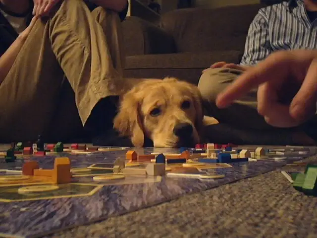 I wanna play too!