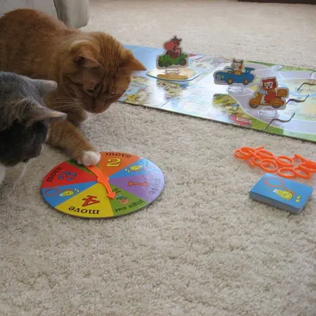 Scooter spinning.  Daisy awaiting her turn.  I'm the hippo character.  Scooter and Daisy are the two cat characters on the board, naturally.