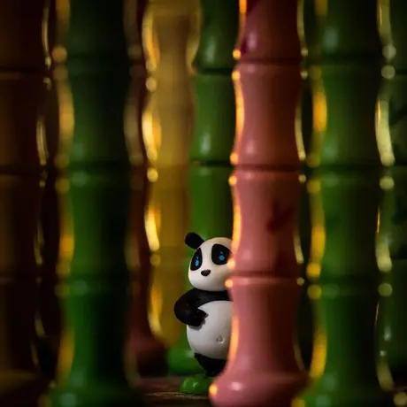 Hide and Seek in the Bamboo Forest