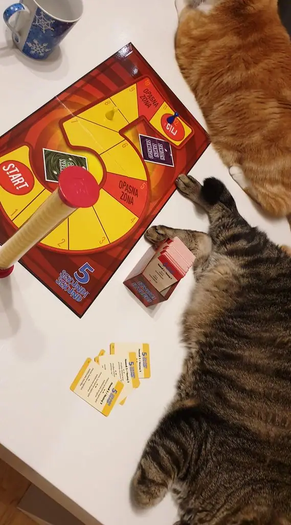 The cats always win :P